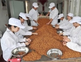 四害消殺：食品、加工行業(yè)